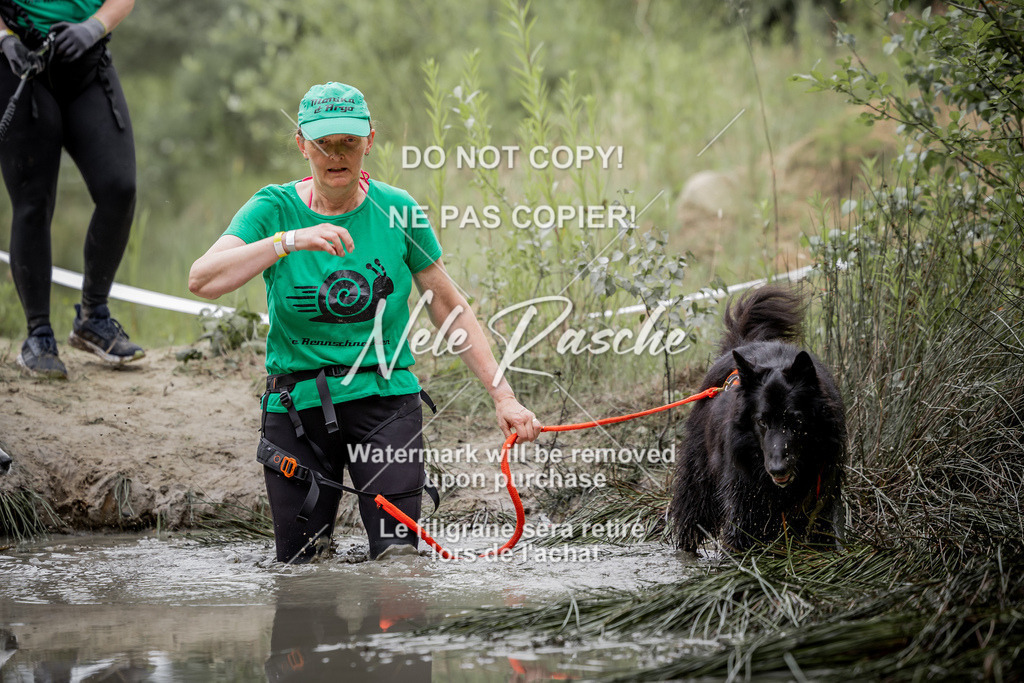 nelerasche_so0800-0930_355 | nelerasche