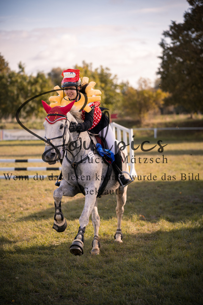 A7V06614 | Pferdefotograf