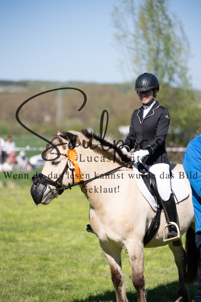 A7V01494 | Pferdefotograf