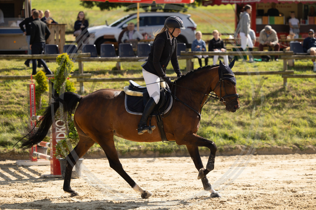 994A8172 | sabrinanicolaifotografie - Realisiert mit Pictrs.com