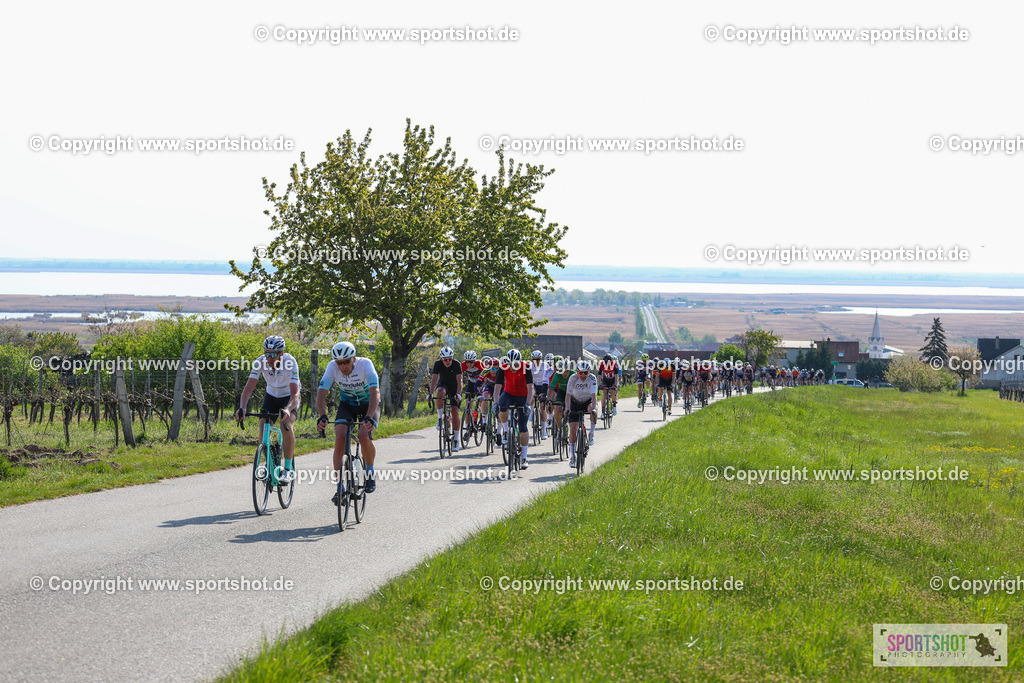 IMG_1690 | @sportshot_your_pictrs #yourpictures#roadtowm2029 #nrm #neusiedlerseeradmarathon #neusiedlersee #neusiedlerseetourismus #burgenland #mörbisch #nrm26 #burgenlandtourismus #voglundco #poweredbyburgenlandtourismus #radsport #rad #marathon #ucigranfondo #visitburgenland #ucigranfondoworldseries