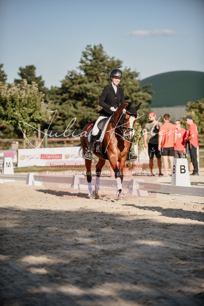 DSC_0741 | Pferde- und Turnierfotografie in Westsachsen. Pferdeportraits, Auftragszeichnungen und intuitive Kunst.