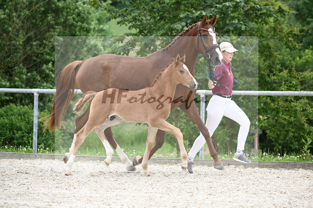 Vivaldos x Belissimo M_HF_Baier_20240254 | hf-fotografie - Realisiert mit Pictrs.com