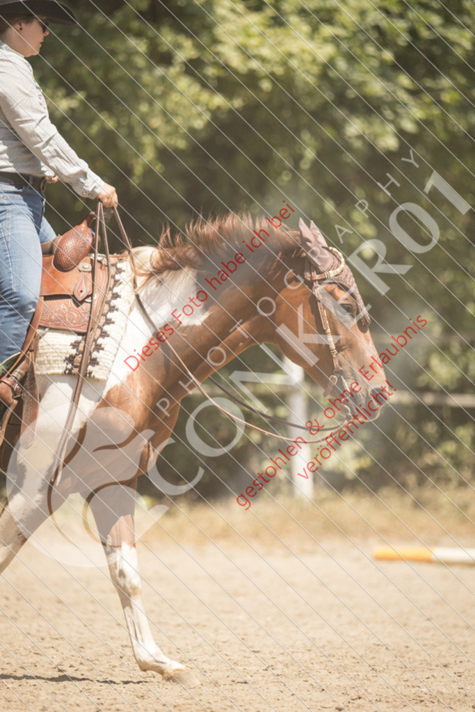 IMG_9996 | Sport-, Event- und Tierfotos in Profiqualität. Einfach auswählen, bestellen und herunterladen. Dein Moment – perfekt festgehalten.