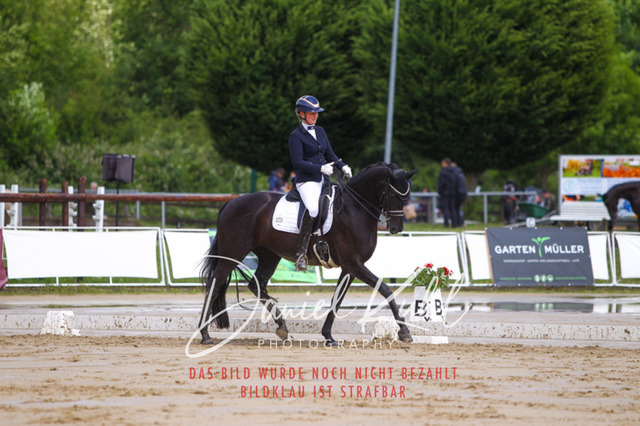 DKP40597 | Turniersportfotografie; Pferdefotografie; Dressurfotografie