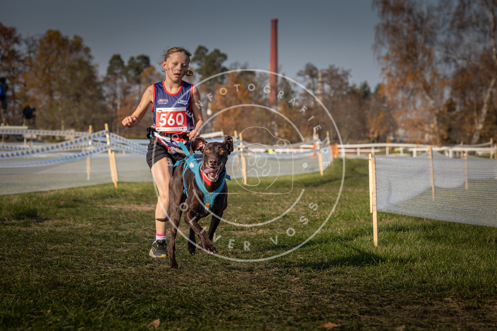 CaniXpix_0L8A9277 | Hundefotografie, Tierfotograf, Pfotenfotografie, Fotoshooting Hund, Hunde Portrait, Hundesport, Hundeportraits, Heideshooting, Hunde, Sportfotograf, Hundefotograf, Turnierhundsport, THS,  - Realisiert mit Pictrs.com