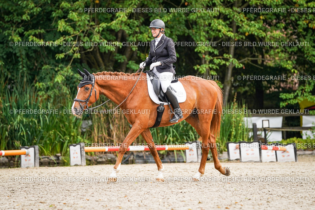 DSC00282 | Pferdegrafie