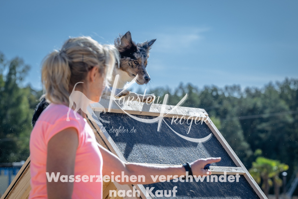 1312_ZZ94065-2 | kk-dogfotos