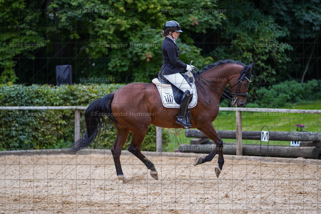 20231007-SN_00998 | Professionelle Turnier- und Reitsportfotografie - mit dem Finger am Auslöser. Pferdebilder aus dem Reitsport von den Turnierfotografen  Bayern , Pferdefotograf Bayern, Pferdeshooting Turnierbilder, Hochzeitsfotograf, Eventfotograf, Hochzeitsbilder