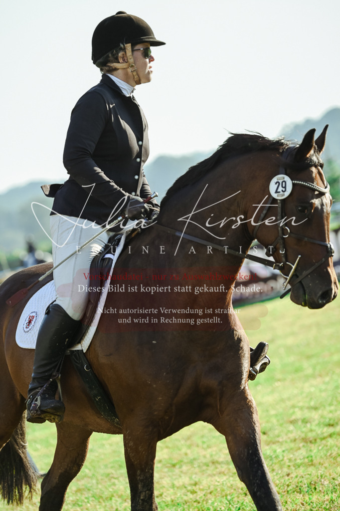 DSC_4359 | Pferde- und Turnierfotografie in Westsachsen. Pferdeportraits, Auftragszeichnungen und intuitive Kunst.