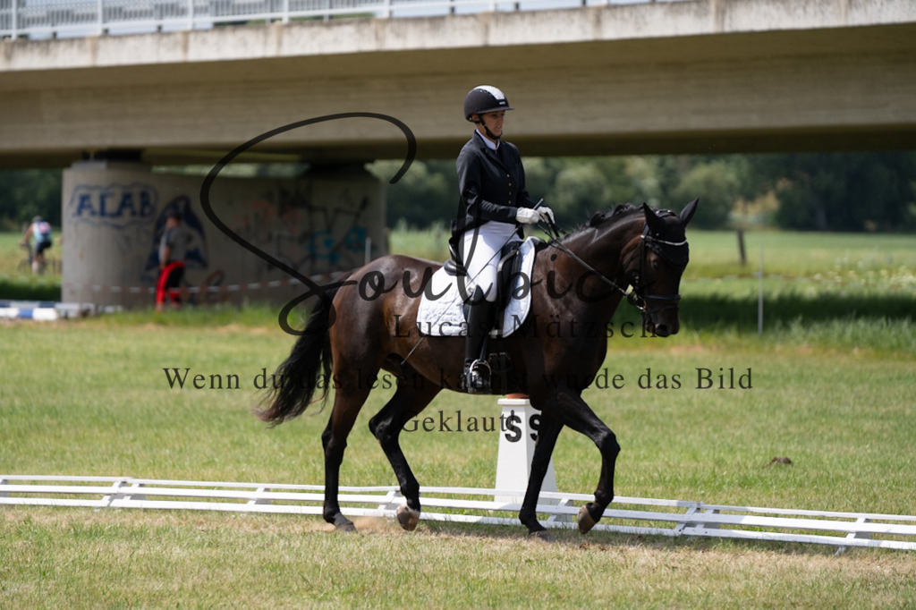 A7V00063 | Pferdefotograf