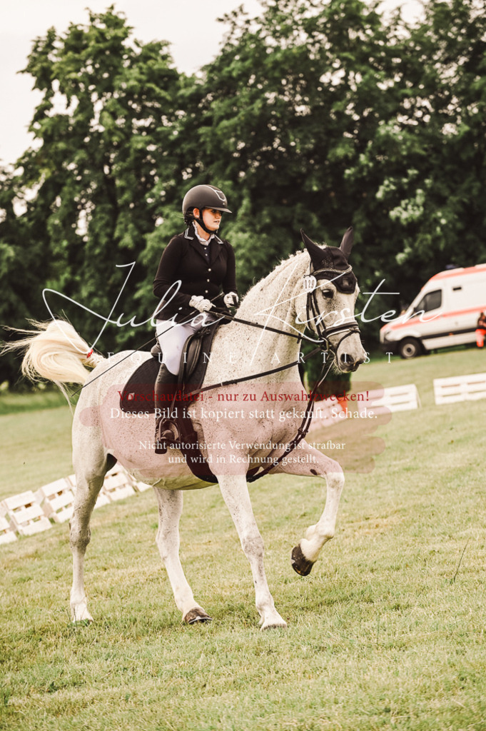 DSC_4988 | Pferde- und Turnierfotografie in Westsachsen. Pferdeportraits, Auftragszeichnungen und intuitive Kunst.