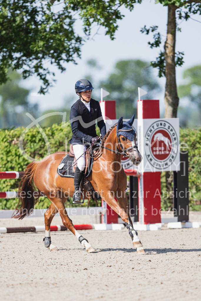 250621_Lemwerder_QualiBuChaPonys5j-111 | Deine schönsten Turniermomente als professionelle Fotos! Entdecke hochwertige Pferdesport-Fotografie im Online-Shop. Jetzt Fotos finden & bestellen!