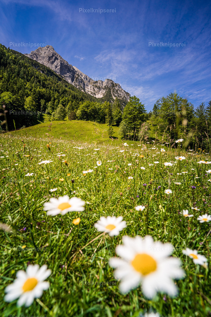 Ferchensee | Fotograf Tirol Imst Pixelknipserei - Realisiert mit Pictrs.com