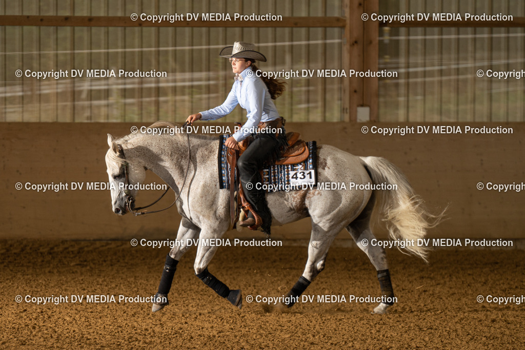 LAU00942 | dv-media-shop - Realisiert mit Pictrs.com