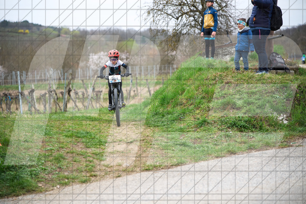 34. KTM Kamptal Trophy  | ZÖBING, Österreich – 2026-03-28: 34. KTM Kamptal TrophyFoto: © 2026 Martin Bihounek - MB Creative e.U.