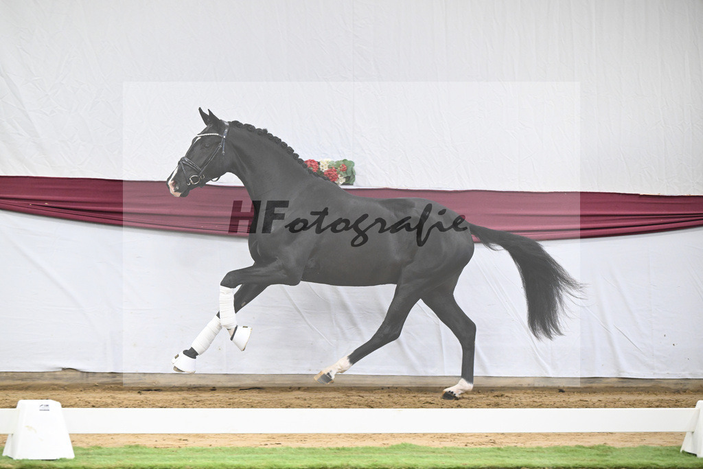 Kat-Nr. 50 Energy x Sezuan_Wilhelm u. Marvin Klausing GbR_47251864 | hf-fotografie - Realisiert mit Pictrs.com