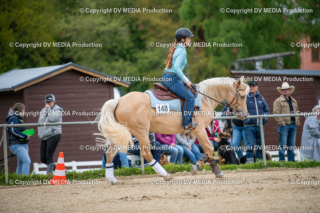 Heiligenwald Tag 2-1852 | dv-media-shop - Realisiert mit Pictrs.com