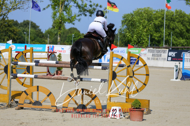 Gut Blee25_Zwei Phasen Springprfg S_0012 | Turniersportfotografie; Pferdefotografie; Dressurfotografie