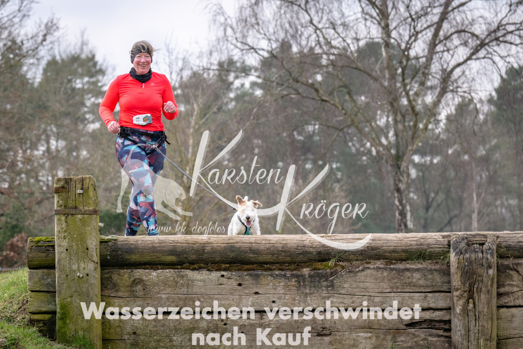 _ZZ91982 | kk-dogfotos