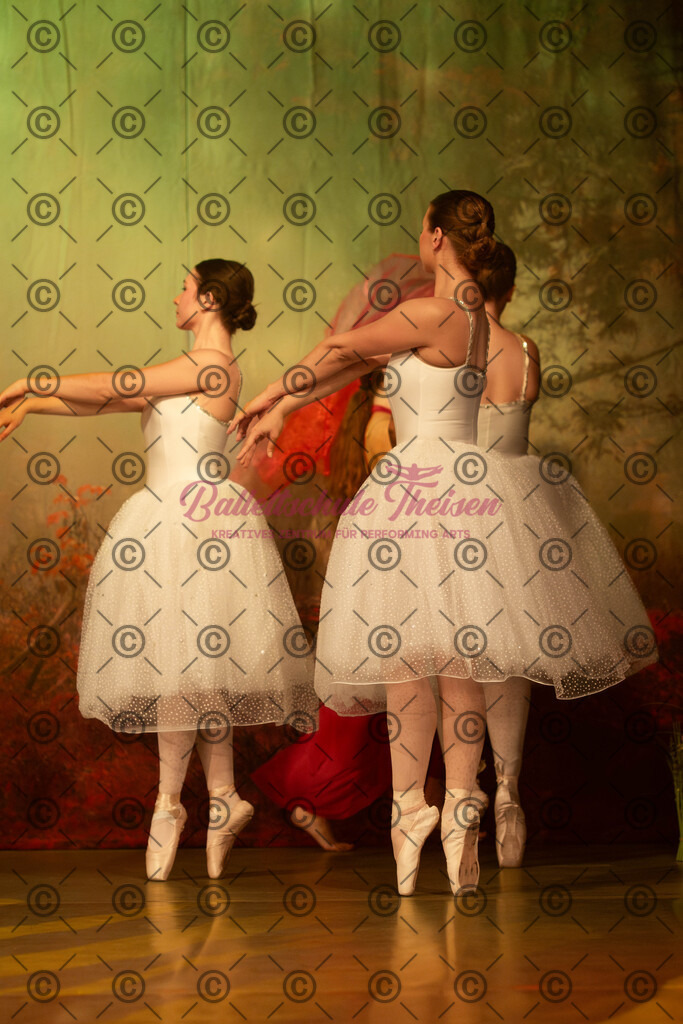 Ballettaufführung-1362 | Bildershop Lem'n Entertainment - Realisiert mit Pictrs.com