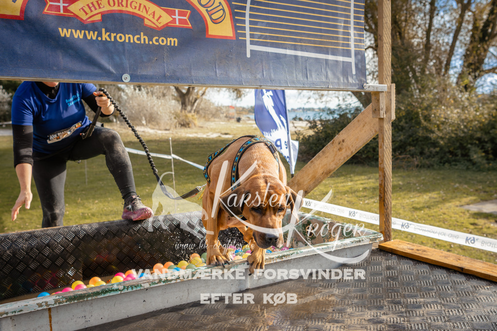 1500_ZZ95543-2 | kk-dogfotos