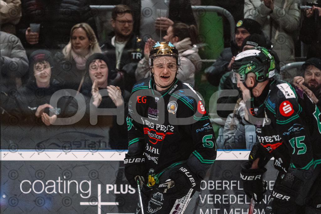 Alligators_vs_Lindau_20_02_2026-37 | Höchstadt Alligators Fotogalerie: Eishockey-Action aus Franken. Professionelle Spielfotos, Portraits & Stadionbilder zum Download. Jetzt entdecken! - Realisiert mit Pictrs.com