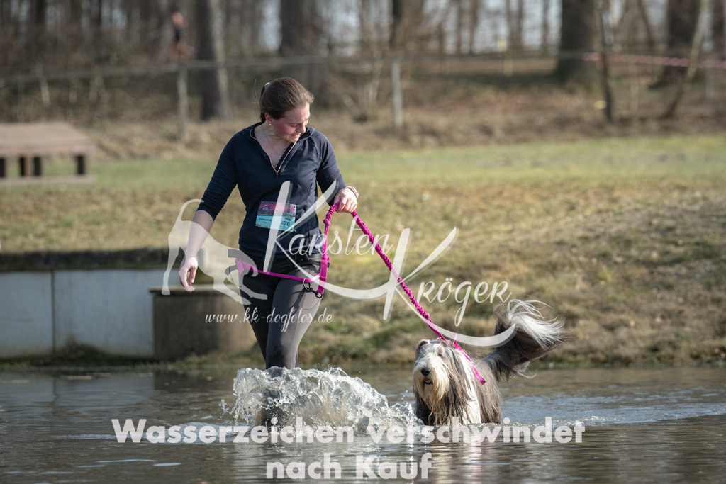 1328_ZZ96432 | kk-dogfotos