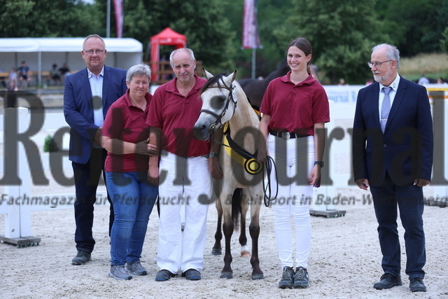 Siegerstute_Welshpony und Fjordpferde_KN_84_Turnina_s Ginger_20 | Alle Fotos der Reiterjournal Fotografin Doris Matthaes im Reiterjournal Online-Fotoshop. - Realisiert mit Pictrs.com