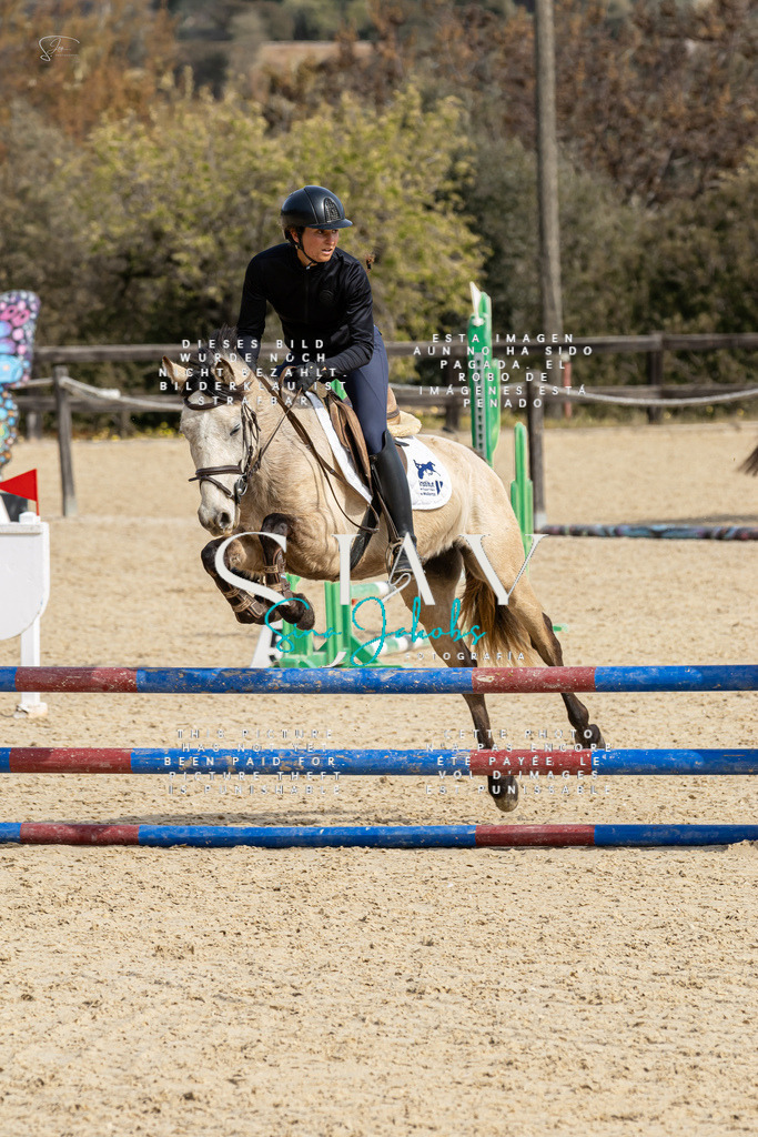 IMG_3301 | s-jay-photography - Realisiert mit Pictrs.com