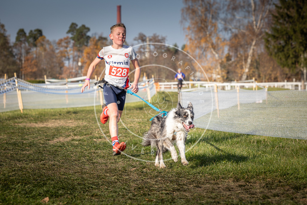CaniXpix_0L8A8780 | Hundefotografie, Tierfotograf, Pfotenfotografie, Fotoshooting Hund, Hunde Portrait, Hundesport, Hundeportraits, Heideshooting, Hunde, Sportfotograf, Hundefotograf, Turnierhundsport, THS,  - Realisiert mit Pictrs.com