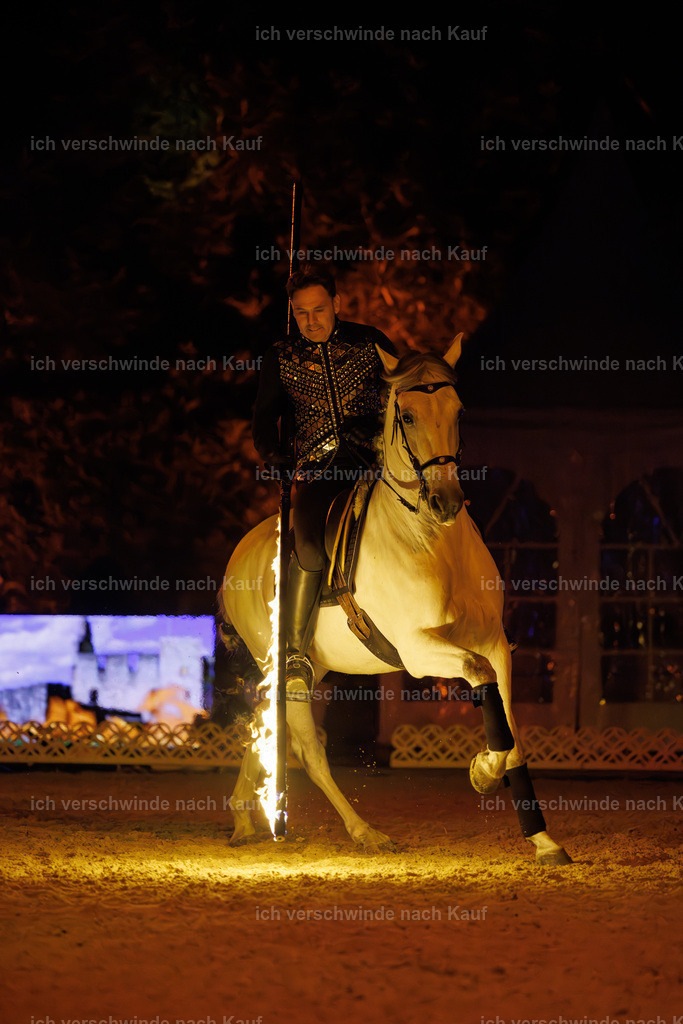 FHClassics-376 | working equitationturnier fotograf videograf stoibphotography marixx film working equitation deutschland reitsport turnierfotografie eventfotografie equestrian events