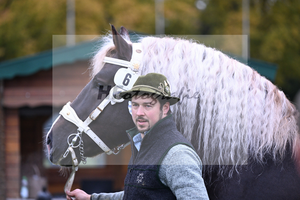 Kat-Nr. 6 Steinbach von Burggen v. Sixtus_Schleich_41250247 | hf-fotografie - Realizzato con Pictrs.com