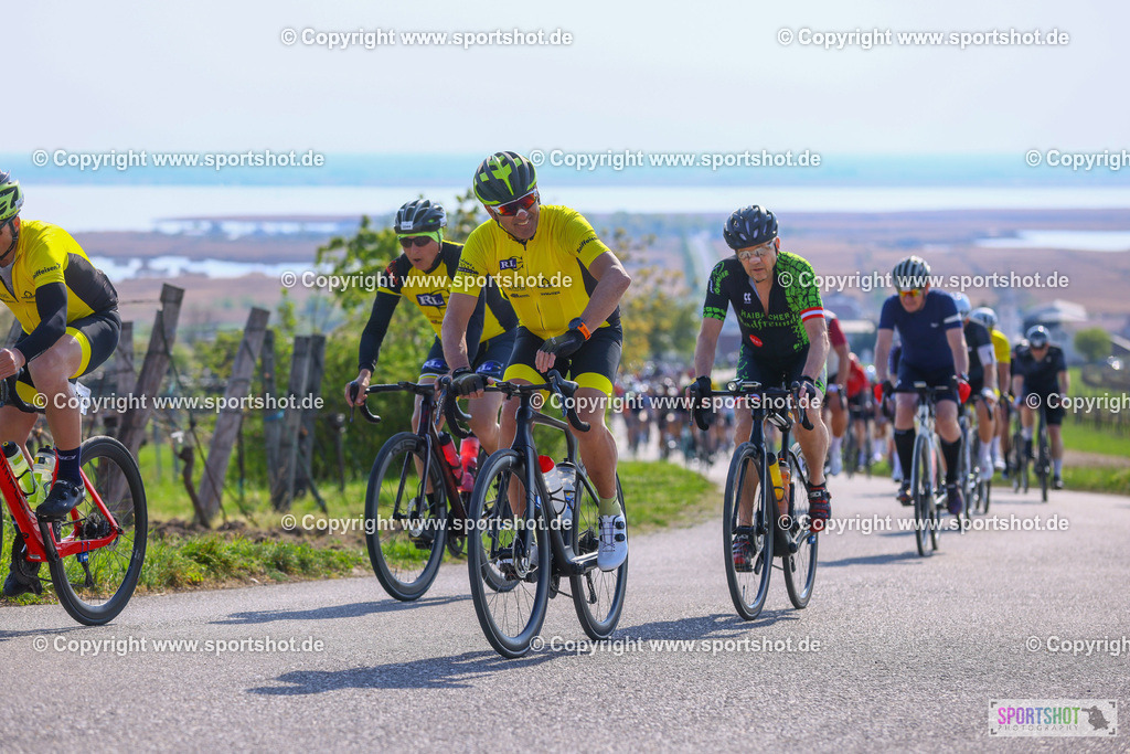 TRA_0994 | Neusiedlersee Radmarathon 2026@sportshot_your_pictrs #yourpictures#roadtowm2029 #nrm #neusiedlerseeradmarathon #neusiedlersee #neusiedlerseetourismus #burgenland #mörbisch #nrm26 #burgenlandtourismus #voglundco #poweredbyburgenlandtourismus #radsport #rad #marathon #ucigranfondo #visitburgenland #ucigranfondoworldseries