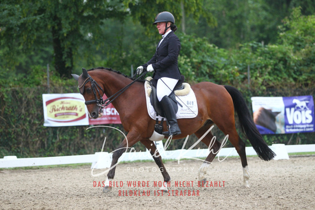 DKP40150 | Turniersportfotografie; Pferdefotografie; Dressurfotografie