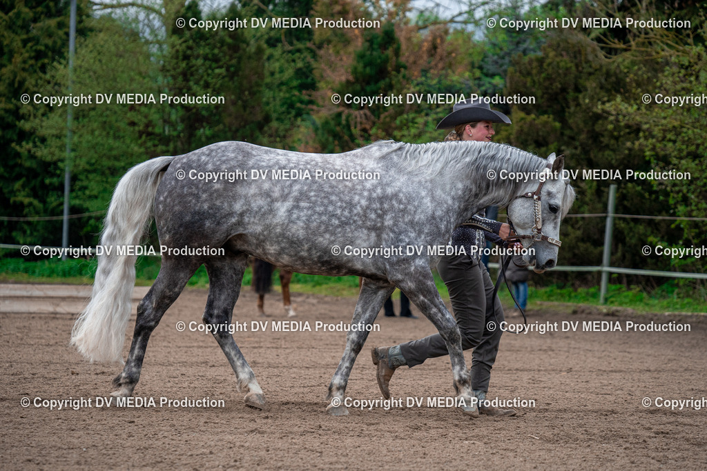 BA300052 | dv-media-shop - Realisiert mit Pictrs.com