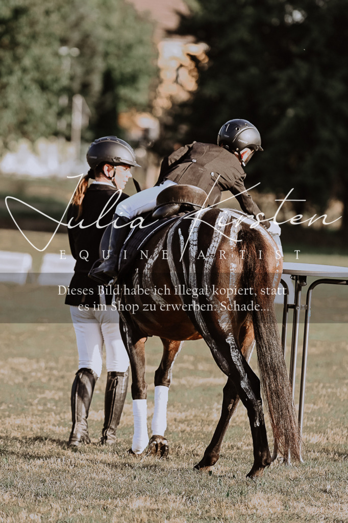 DSC_0213 | Pferde- und Turnierfotografie in Westsachsen. Pferdeportraits, Auftragszeichnungen und intuitive Kunst.