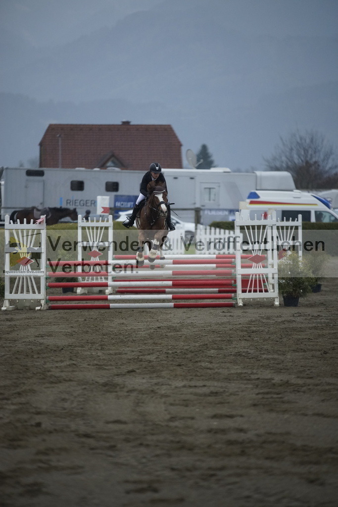 _DSC3351 | equestrian-live-com