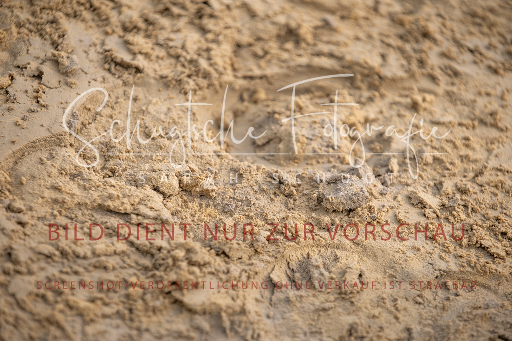 Schugtsche-Aluta25-40.DressurprfA_-71 | Schugtsche Fotografie - Realisiert mit Pictrs.com