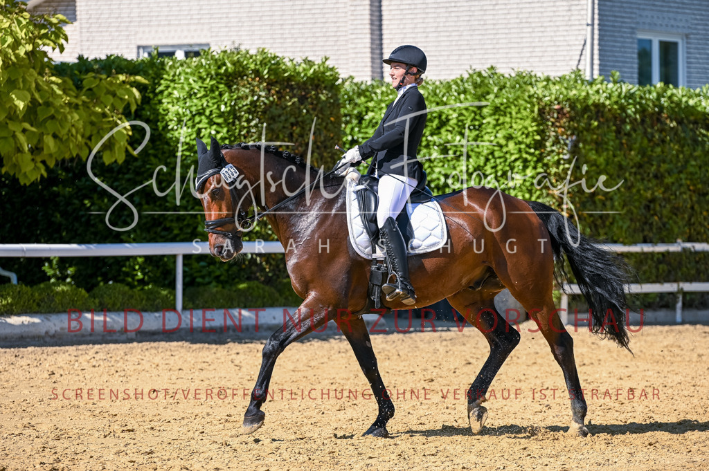 Schugtsche-Aluta25-50.Dressurpferdeprf.L-168 | Schugtsche Fotografie - Realisiert mit Pictrs.com