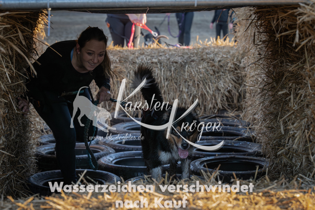 0907_ZZ91476-Verbessert-RR | kk-dogfotos