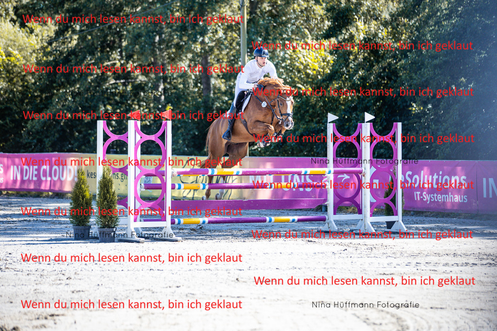 BK1A5641 | Turnierbilder Turnierfotos Nina Hüffmann Turnierfotografie Pferdefotografie Tierzeichnung Haustierzeichnung Pferdezeichnung Hundezeichnung Videograf  - Realisiert mit Pictrs.com