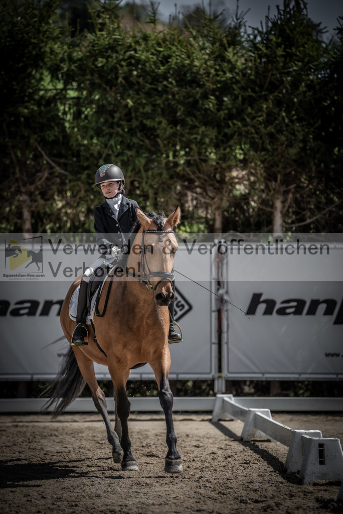 DSC_0856 | equestrian-live-com