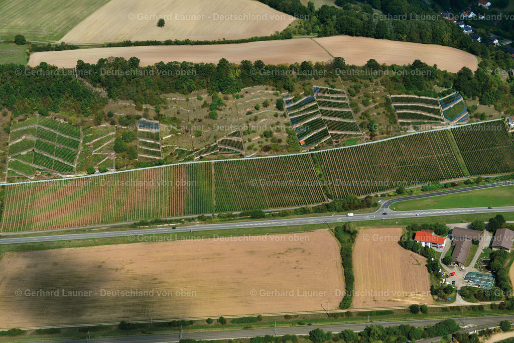 3503047 | Weinberge bei Steinbach