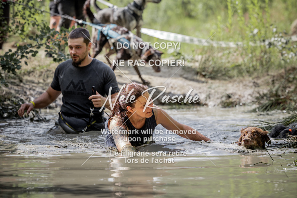 nelerasche_so1030-1100_249 | nelerasche