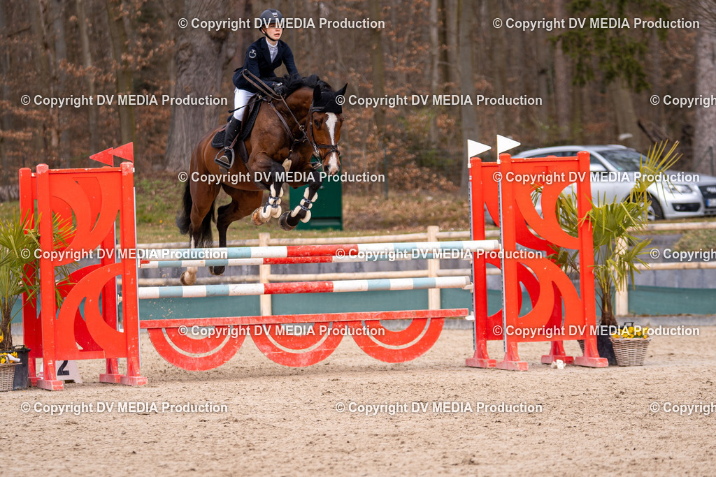 Kranichstein Tag 2-1764 | dv-media-shop - Realisiert mit Pictrs.com