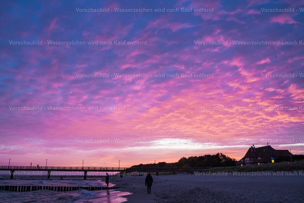 DSC03965 | marcuslinek