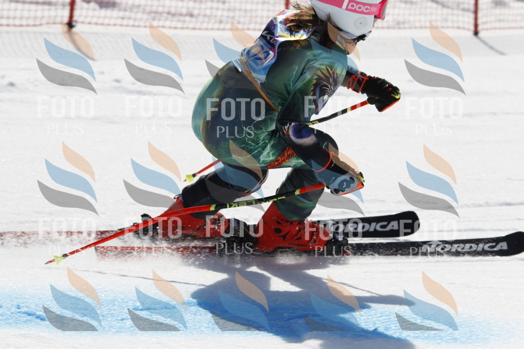 _U3G0366 | holidayphoto