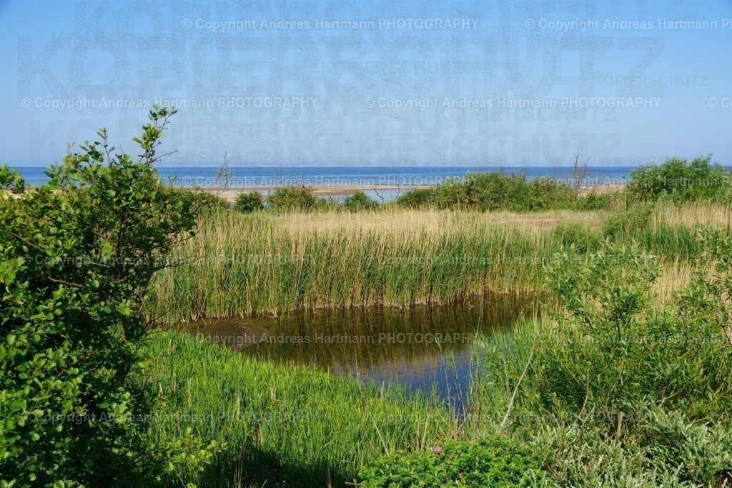 Küstenlandschaft Gullbranna | Küstenlandschaft Gullbranna - Realisiert mit Pictrs.com