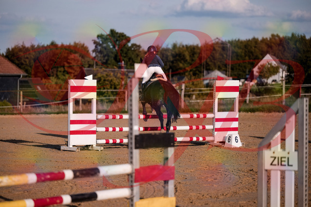 2026_10_03_Siefer-Hof_171553_Z81_13678991 | Professionelle Reitsport-, Turnier- und Eventfotografie von Robert Broda. Galerien mit ausgewählten und bearbeiteten Bildern direkt online ansehen und bestellen.